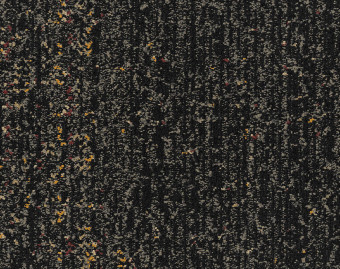 [300111157_4] Step Aside - 106319 Ebony